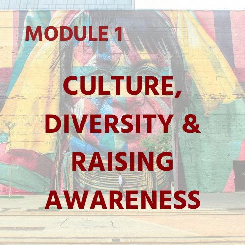 Module 1 - Culture, Diversity & Raising Awareness