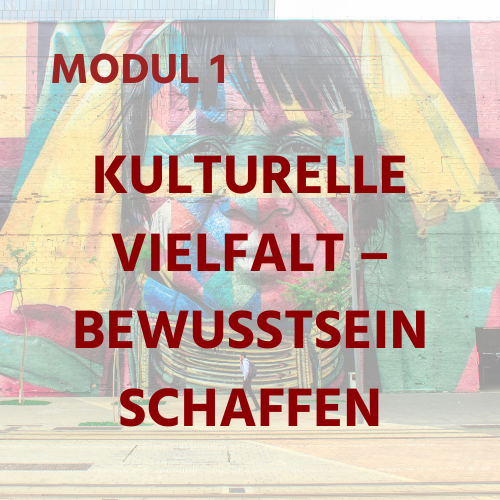 DE Module 1 - Culture, Diversity & Raising Awareness