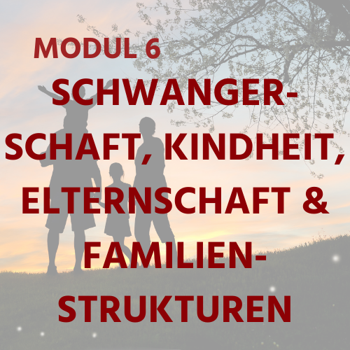 DE Module 6 - Pregnancy, Parenthood, Children & Family Structure