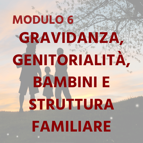 IT Module 6 - Pregnancy, Parenthood, Children & Family Structure