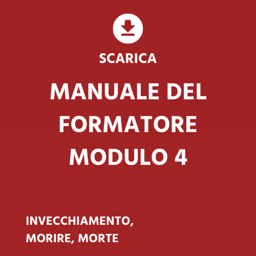 IT module 4 - trainers manual