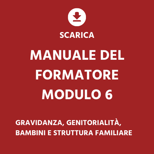 IT module 6 - trainers manual