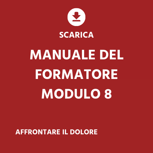 IT module 8 - trainers manual