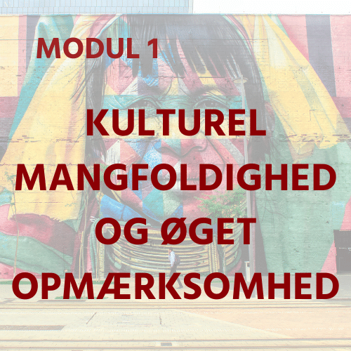 DK Module 1 - Culture, Diversity & Raising Awareness