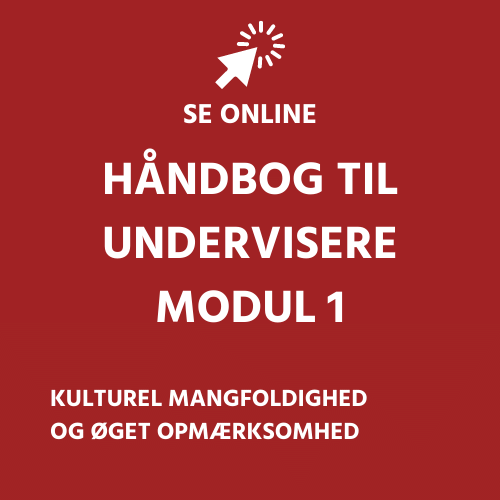 DK Module 1 - Manual