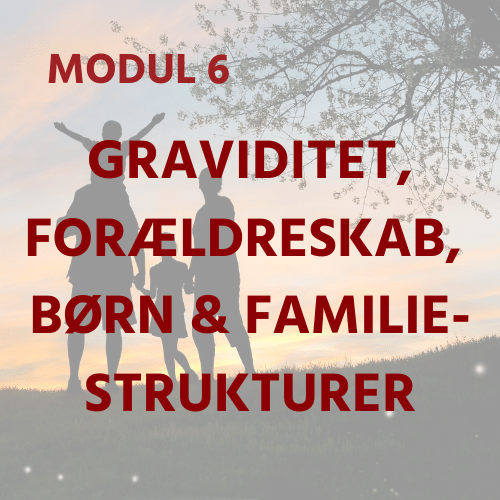 DK Module 6 - Pregnancy, Parenthood, Children & Family Structure